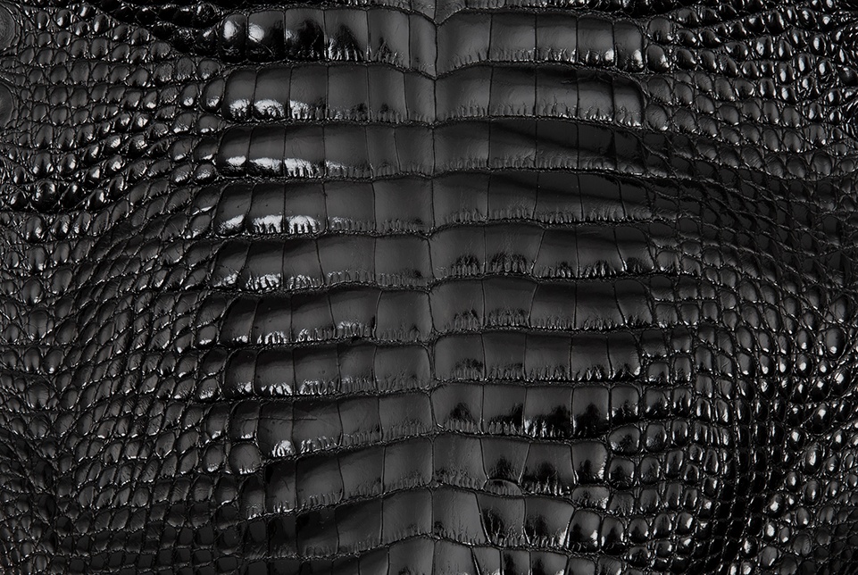 Exotic Leather Blog Alligator Skin